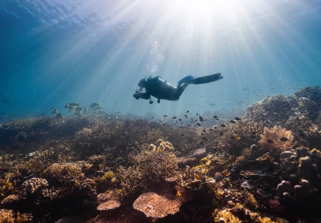 PADI’s Dive Education for Ocean Stewardship and Skill Mastery